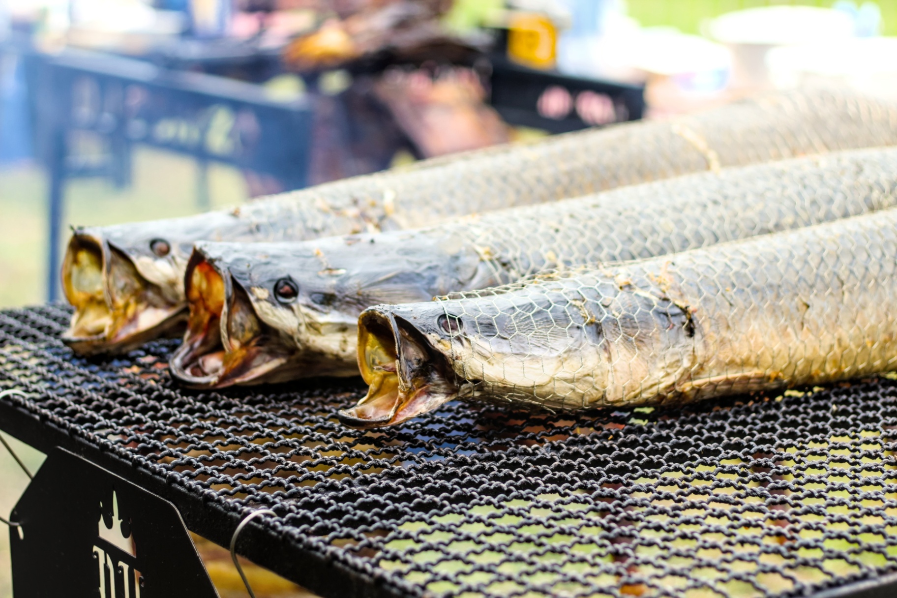 Peixe na brasa